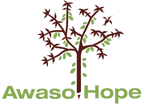 Awaso Hope Foundation